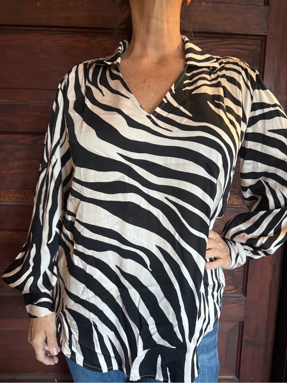 Finley Black and White Zebra Print V-Neck Blouse